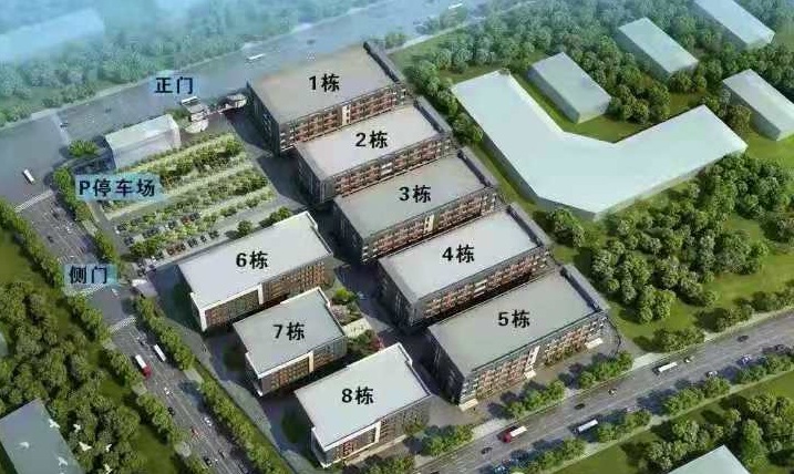校园风光