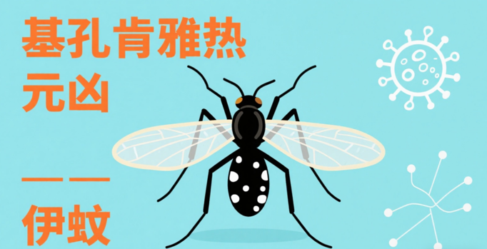 预防基孔肯雅热，我们在行动——我校开展基孔肯雅热病防疫消杀工作