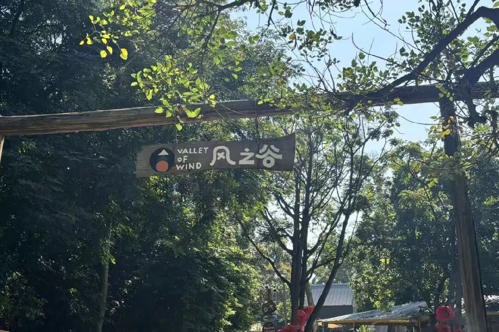 凝心聚力,欢乐同行|教职工团建活动全记录